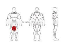 SK-614 Inner thigh abductor sports equipment body shape exercise machine