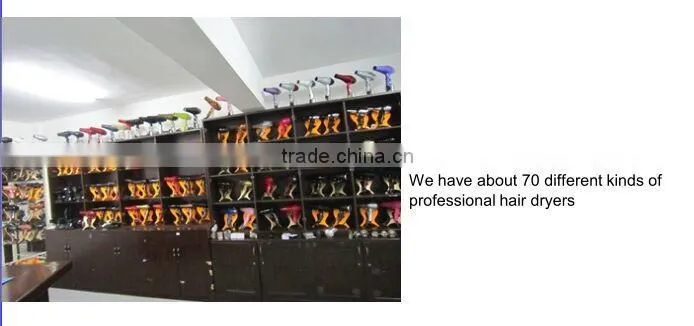 professional hair dryer with compact size OEM factory long life AC motor