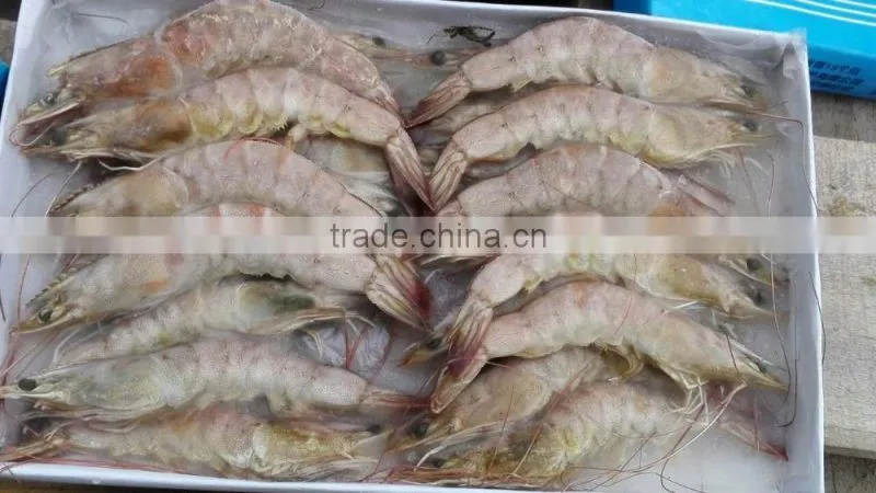sea frozen vannamei white shrimp