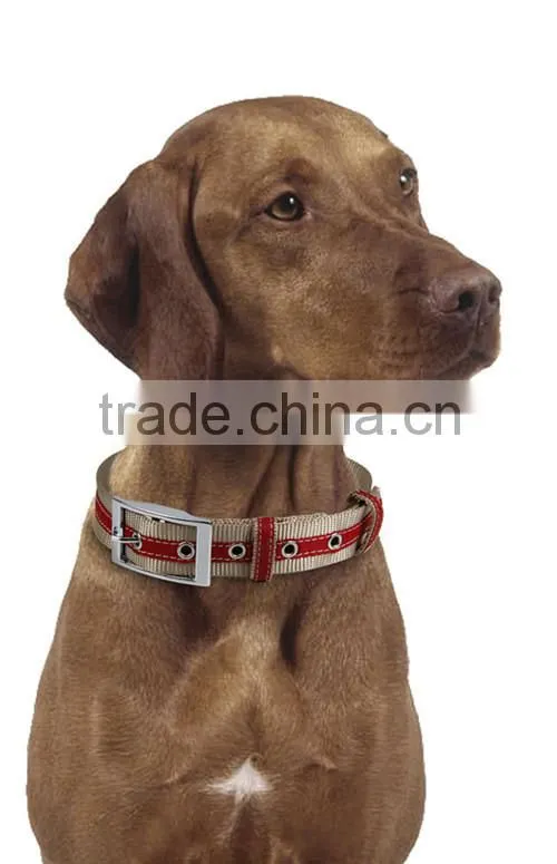 Wholesale Excellent Quality Durable Training Dog Collar