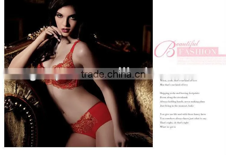 Fashion style Lycra lace APN6555