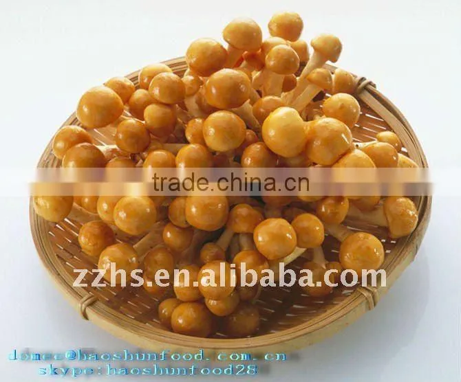 Nice Recipes Marinated Nakemo Mushroom