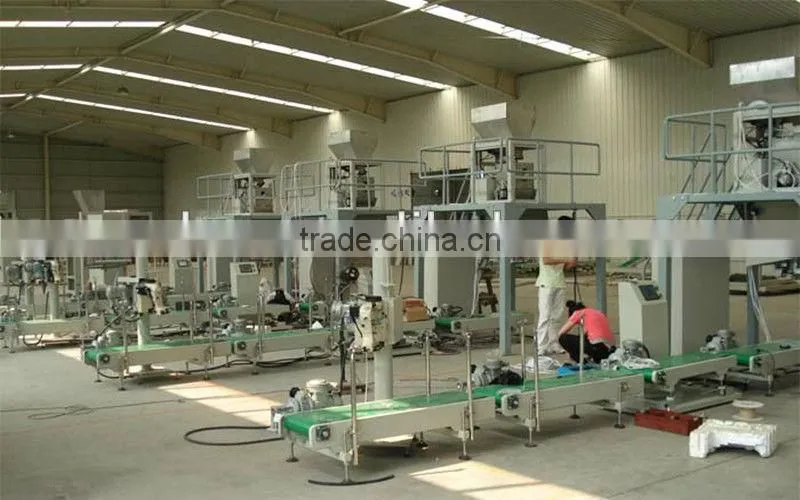 Fully Automatic multihead weigher packing machine