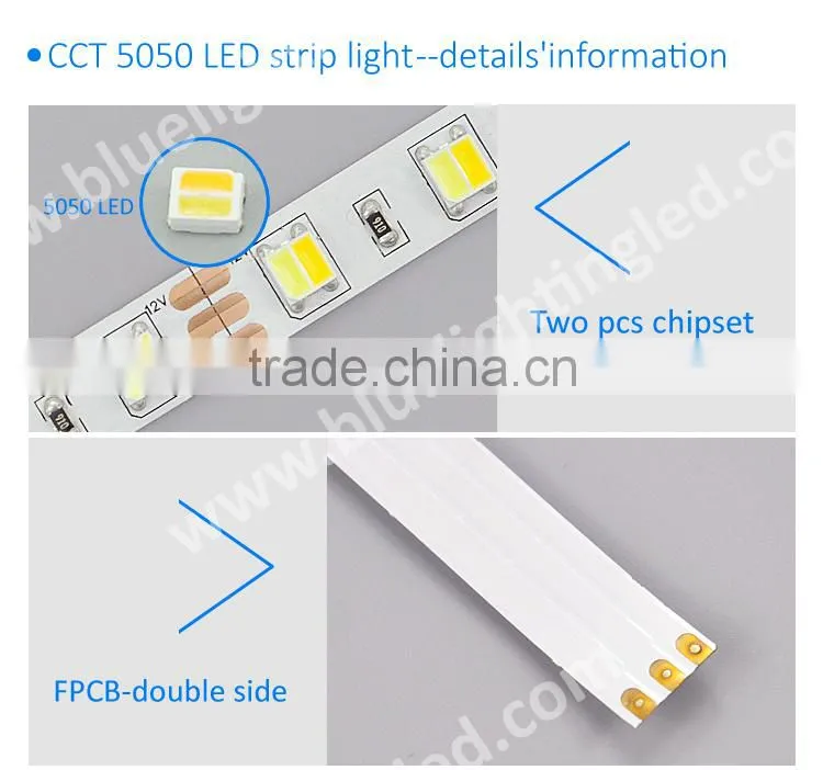 new design CCT led strip 5050LED double color in 1 LED