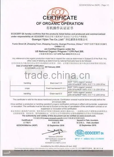 Green Tea Brand Chinese Organic Green Tea