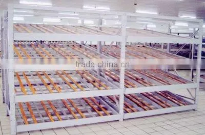 gravity flow racking system