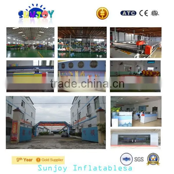 Selling Factory price PVC cheap inflatable dry slide