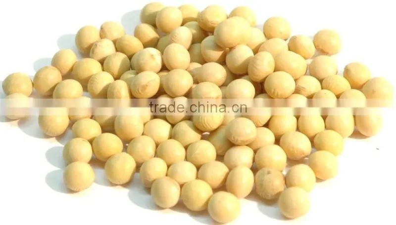 Soy Protein Isolate Food Grade