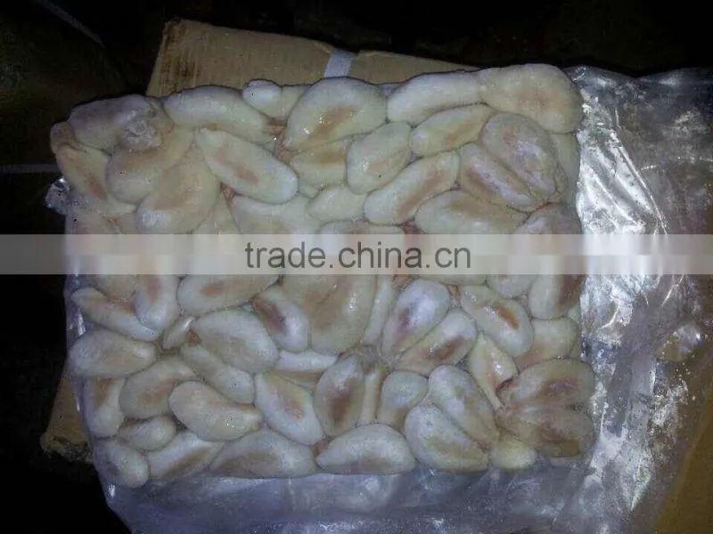 2015 fresh frozen cuttlefish roe BQF