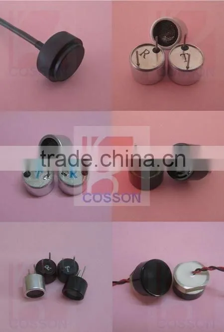 R4010A1 Ultrason sensor