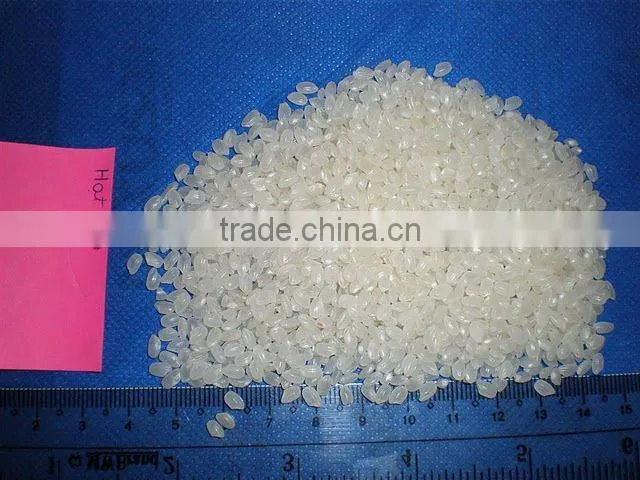 High-Quality Japonica rice, Koshi Hikari rice
