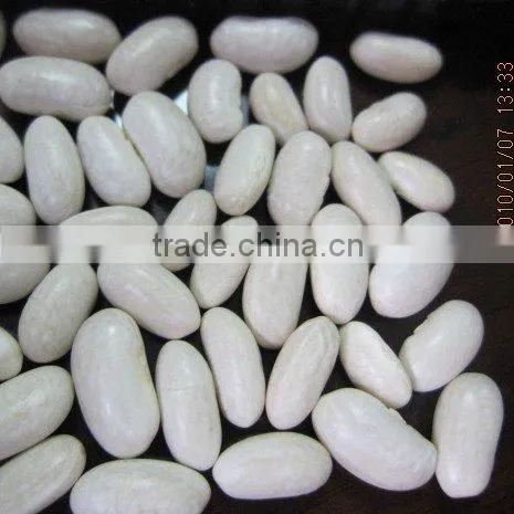 CHINA white kidney bean (bashaki ) 2010