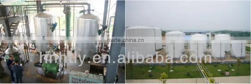 Animal oil biodiesel making production line
