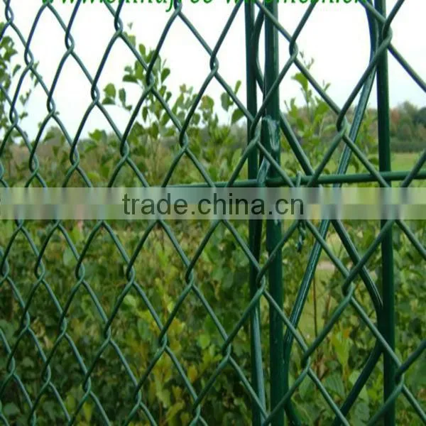 cheap chicken wire fence(factories)