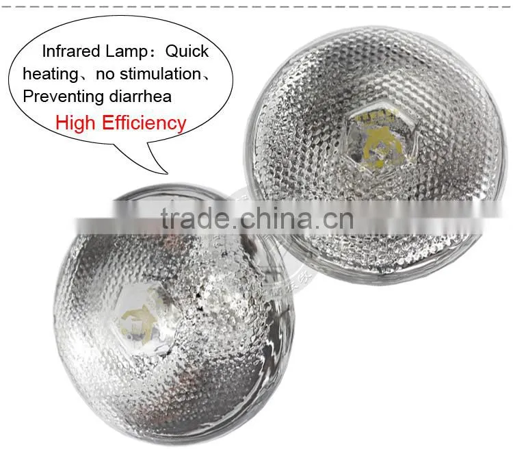 Poultry equipment infrared heating lamp for chicken / piglets