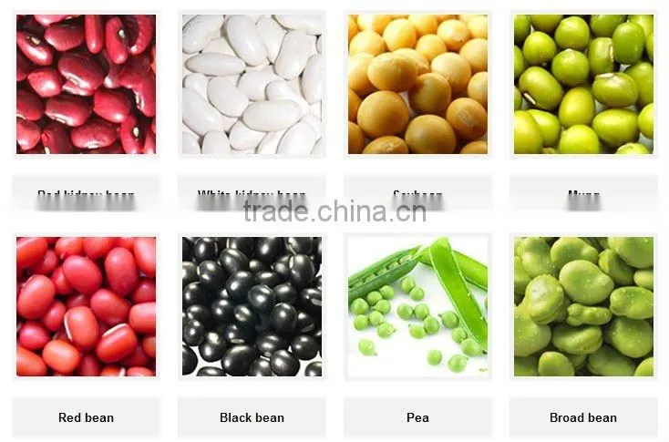 Intelligent bean color sorter