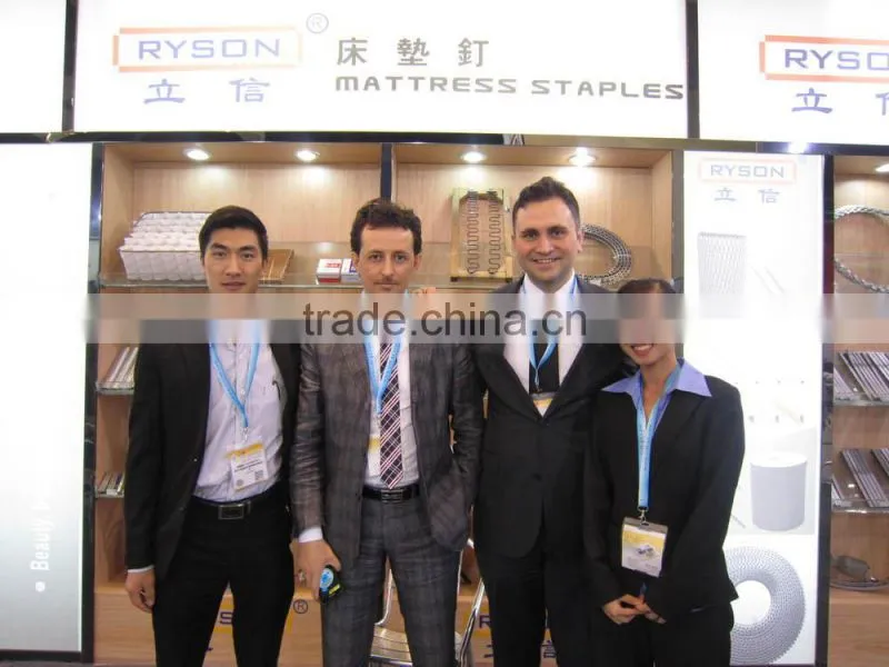 OEM design metal clips fasteners