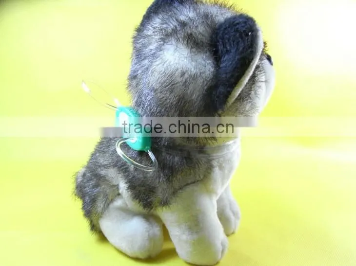 Fashion lighting up cat collars, puppy collars