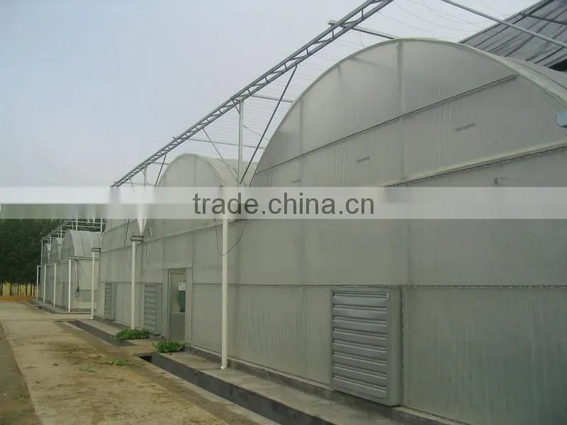 Plastic Film Greenhouse