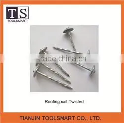 Umbrella head roofing nail with washer