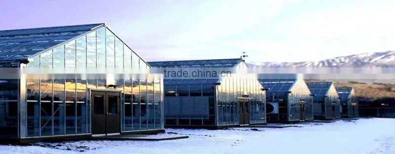 RoughBrothers Galvanized Steel Frame Agricultural Tunnel Greenhouse