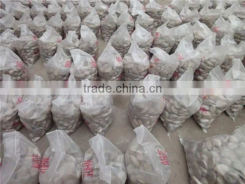 Tumbled Snow White Pebble Stone for Landscaping Paving