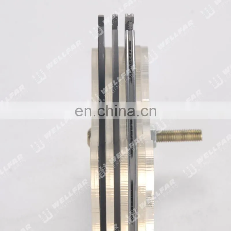 Piston ring use for Renault 1.9L Diesel F8Q Clio R19 80mm