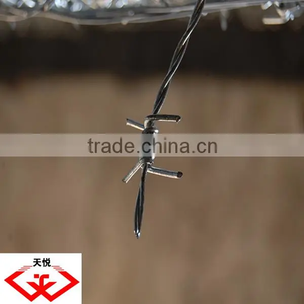 galvanized barbed wire(factory)