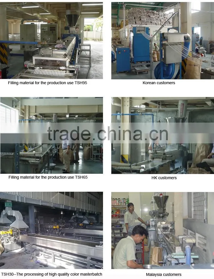 High Quality TSH-65 Strand Pelletizing Extruder