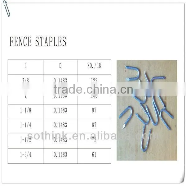 U staples nails for fence setting (prompt delivery)