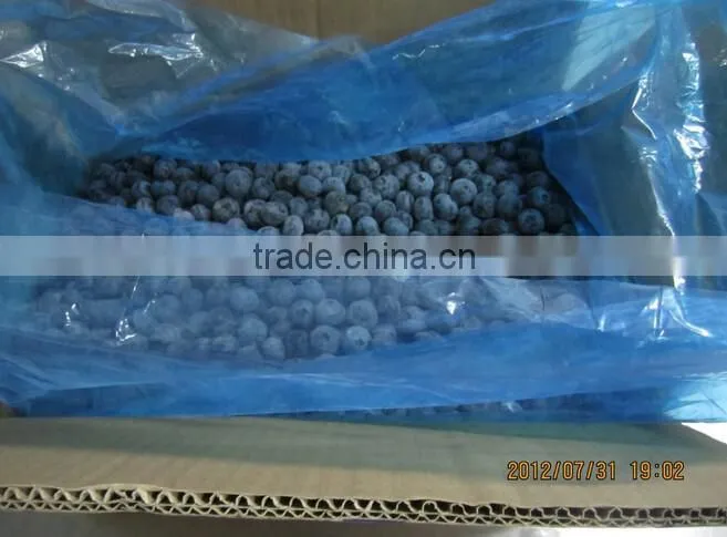 bulk frozen blueberries