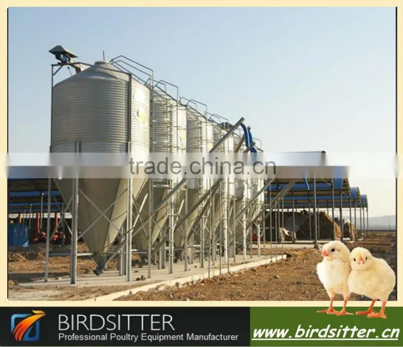 new year warm welcomed chicken and broiler use poultry feeding system