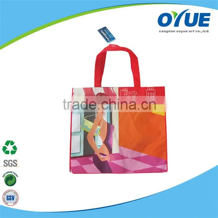 Bulk Shopping Bag/PP Woven Bag /Reusable Bag