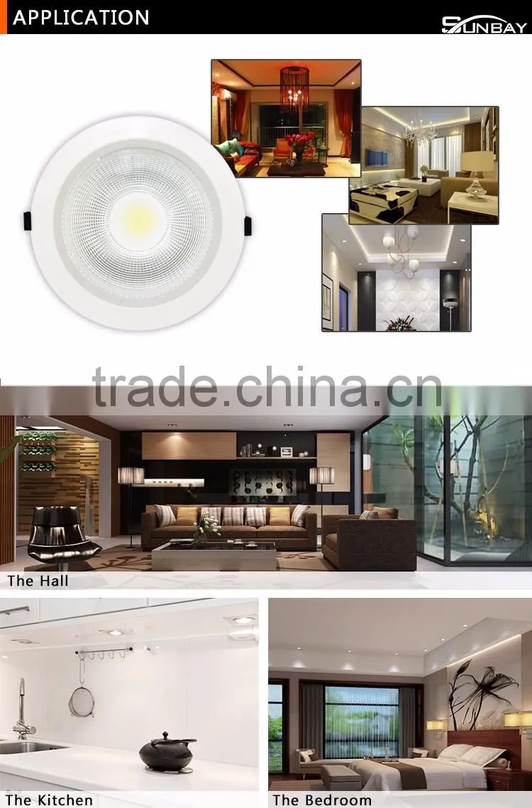 Cheap price quality warranty 12w/15w/20w/30w 8 inch led downlight