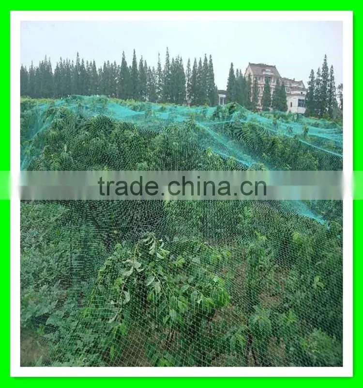 Henan Suntex supply white plastic anti bird net with low price