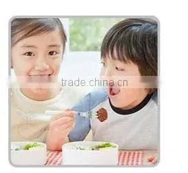 High quality lunch box conveniently taken for children , students , office worker