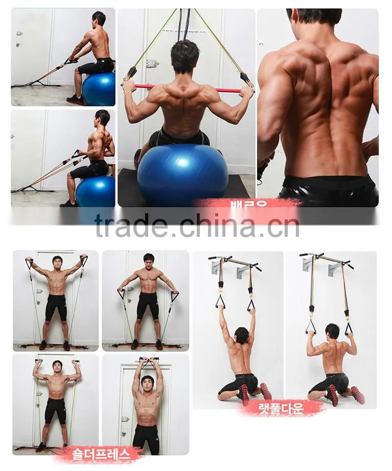 POWER TUBING RESISTANCE BAND(OPTION LAT BAR)/ Gym Equipment/ Rack
