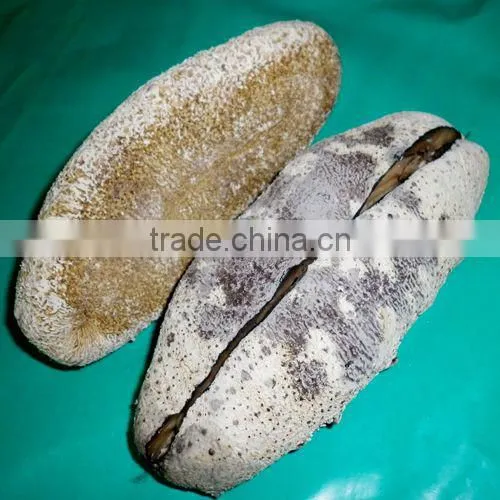 Dried Sea Cucumber, White Teat Fish, Holothuria Fuscogilva