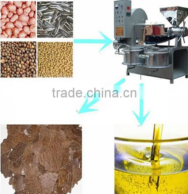 cold cotton seeds oil press, oil expeller, oil extraction machine from Dingsheng