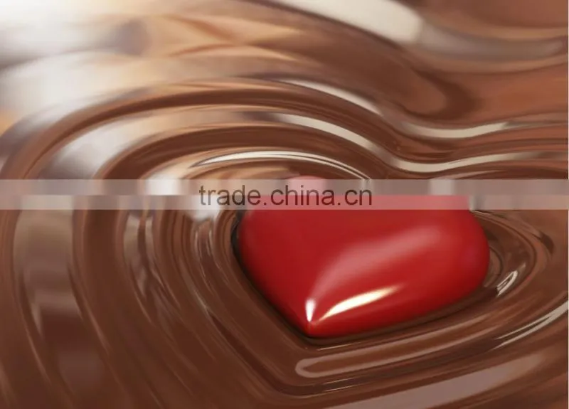 New design chocolate mold