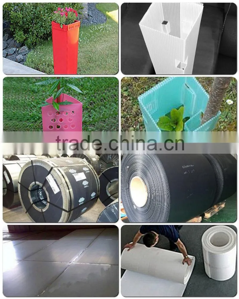 lightweight recycled PP Corrugated Board with great price