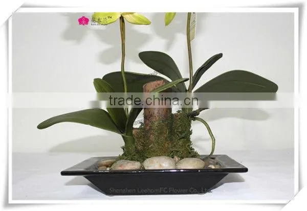 Lifelike Orchids Wedding Wholesale Potted Flower For Sale