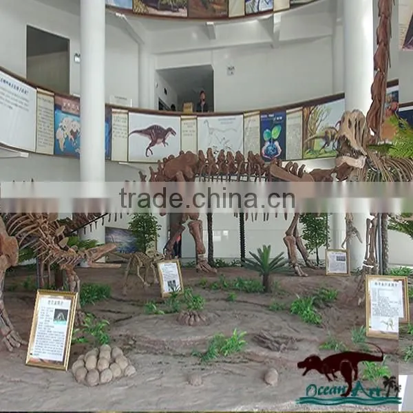 Museum Standard High Quality Dinosaur Skeleton