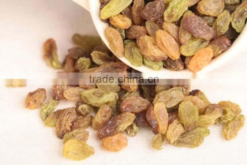 2015 xinjiang Turpan green raisins dried grapes