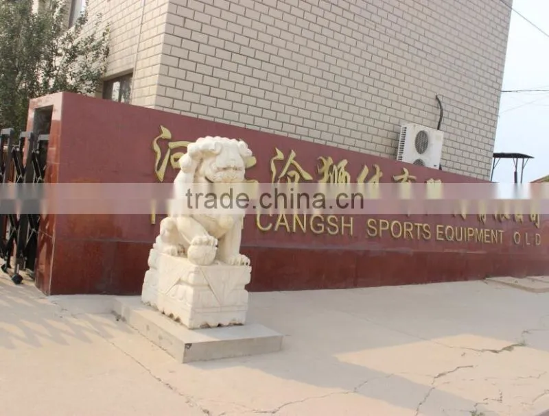 Hebei Cangshi Culture & Sports Equipment Co., Ltd. company overview - view 1