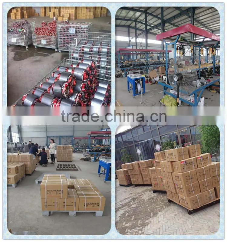 Portable mini crane hoist with the compacity of 100-1000 Ton