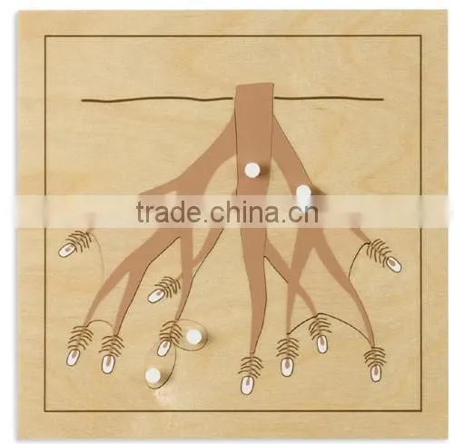 physics teaching aids model Root Puzzle