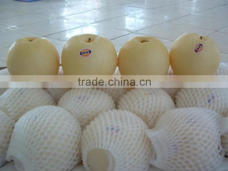 9KG Fresh Golden Pear 40-44 Size
