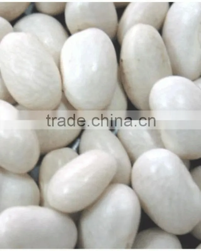 white kideny beans