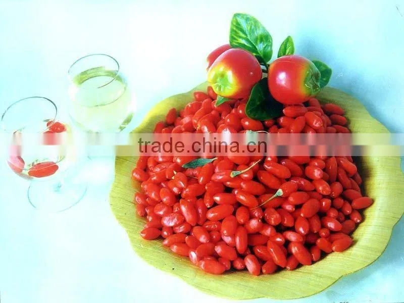 superfine china barbary wolfberry fruit